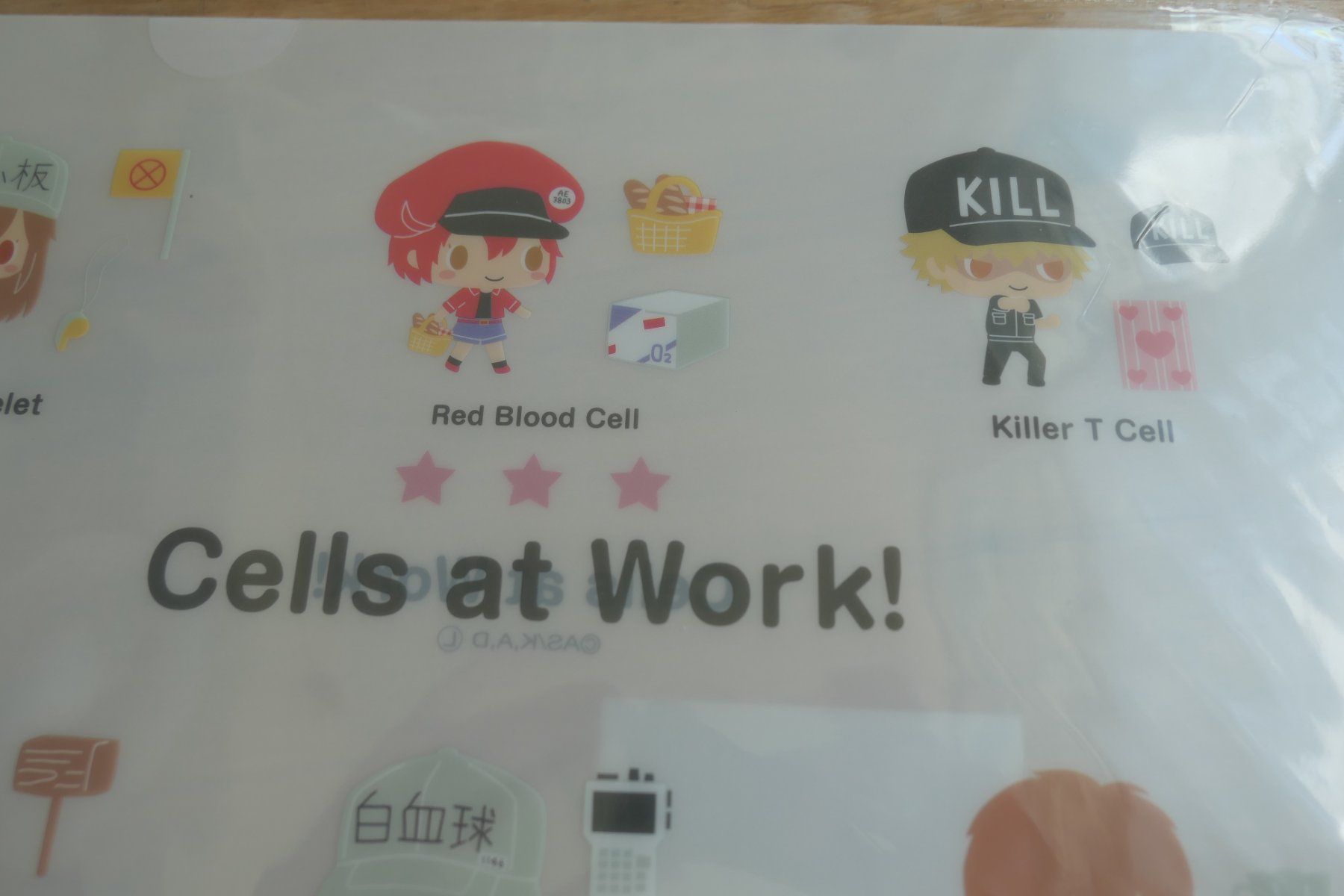 Figuren: Cells at Work Anime - Clear File Mäppli – Neu (gemäss Beschreibung) aus Ettiswil von maimaiswiss 2