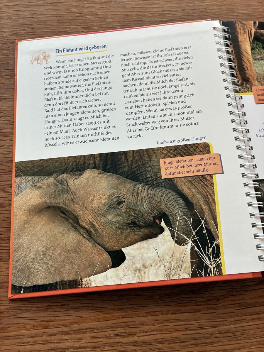 Libri: Kinderbuch Der kleine Elefant wird gross Ellermann – Usato da Wettingen venduto da ric_xm6x 1