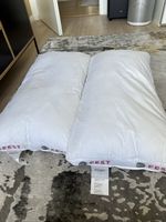 Kopfkissen sleeptex 40 x80 Neu