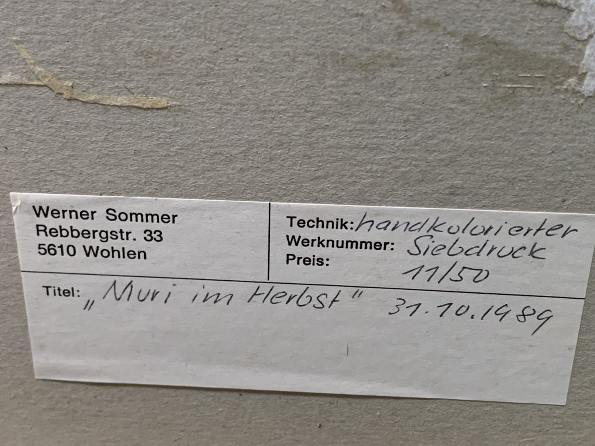 Dipinti: SOMMER WERNER 1928-2012 Muri – Usato da Wolfhalden venduto da SecondAntique 4