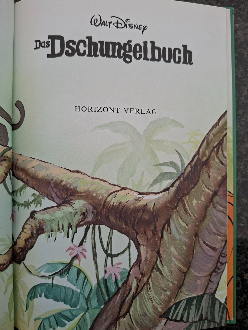 Libri: Walt Disney; Buch "Das Dschungelbuch" – Usato da Boniswil venduto da Totomat-Lady2 1