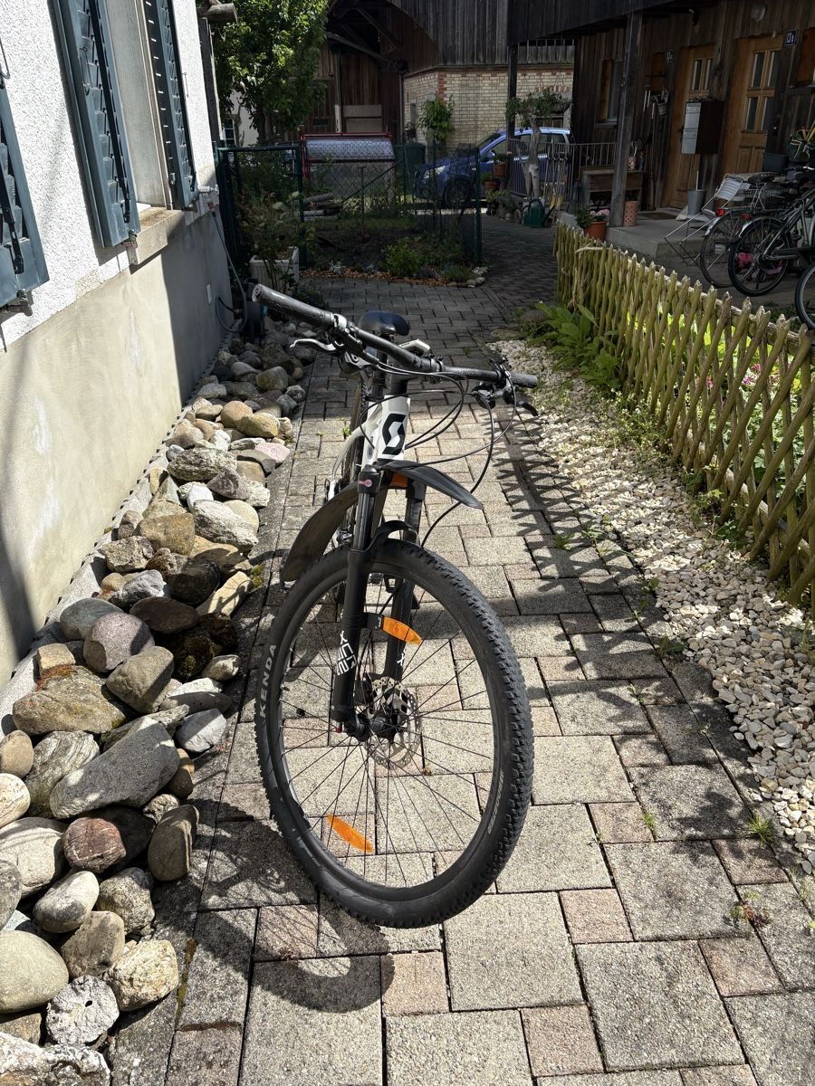 Scott Biciclette: Scott Aspect Mountainbike L – Usato da Winterthur venduto da Baco 1