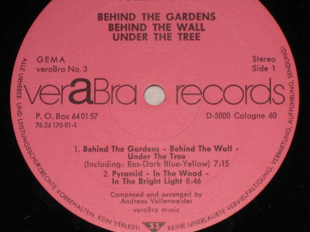 Dischi in vinile: LP - ANDREAS VOLLENWEIDER - BEHIND THE GARDENS – Usato da Steckborn venduto da Quo7 1