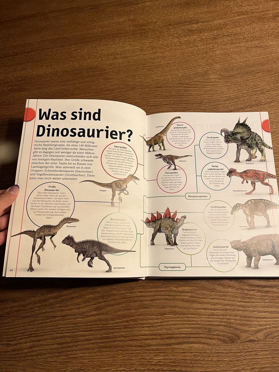 Libri: Dinosaurier buch – Nuovo (secondo la descrizione) da Uebeschi venduto da lee-elle 4