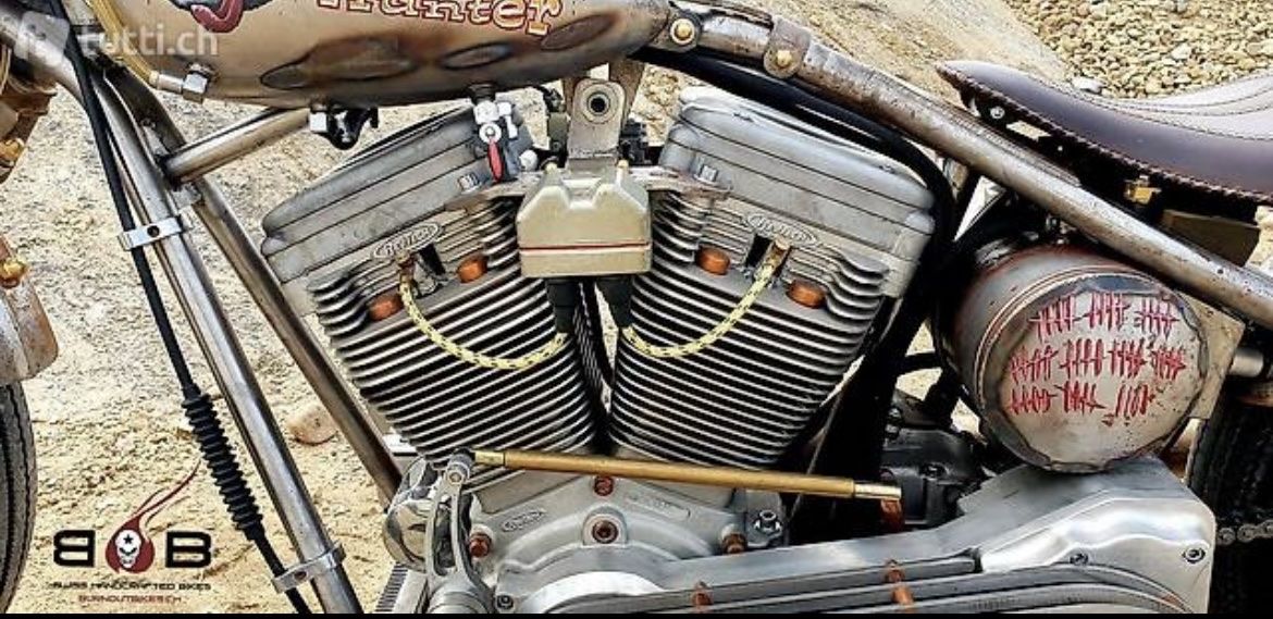Harley-Davidson Altro: HARLEY DAVIDSON TGS MOTORCYCLES – Usato da Sirnach venduto da B.O.B.BIKES 7