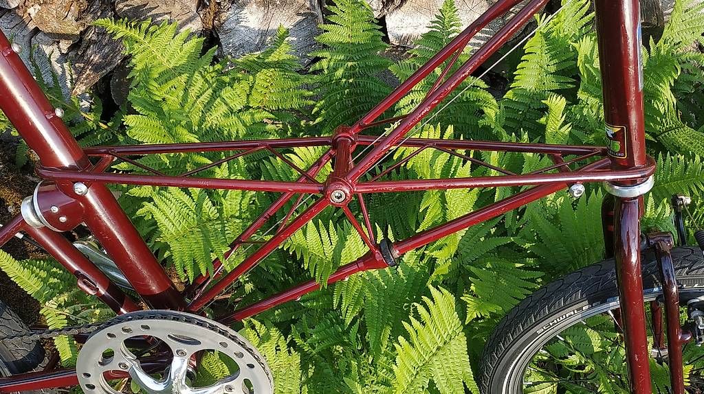Biciclette: Moulton tsr – Usato da Thierachern venduto da Velo1970 4