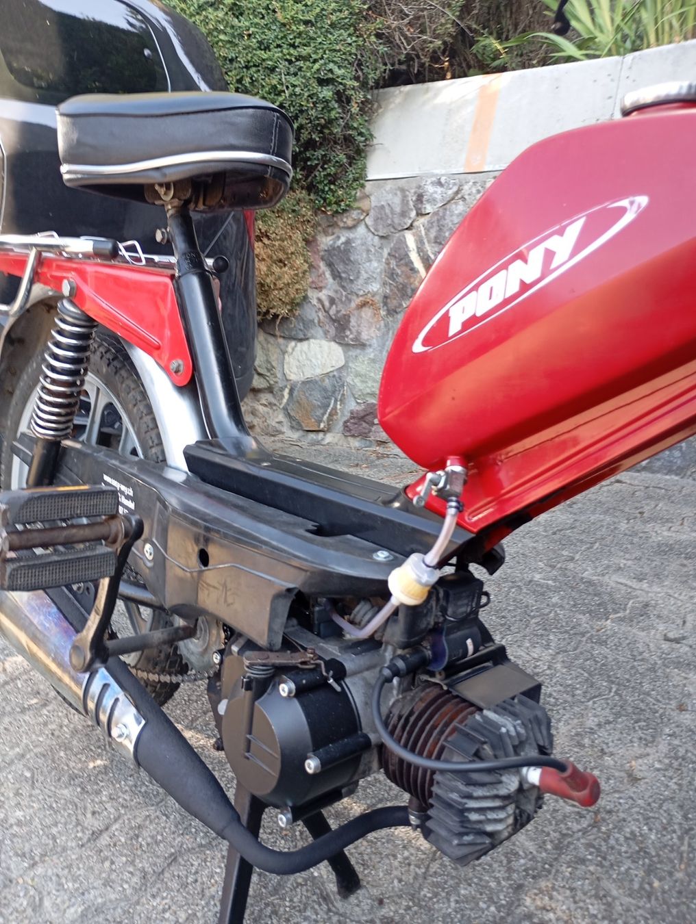 Pony Ciclomotori: Pony frisch ab Service – Usato da neuhaus sg venduto da Prisli0 5