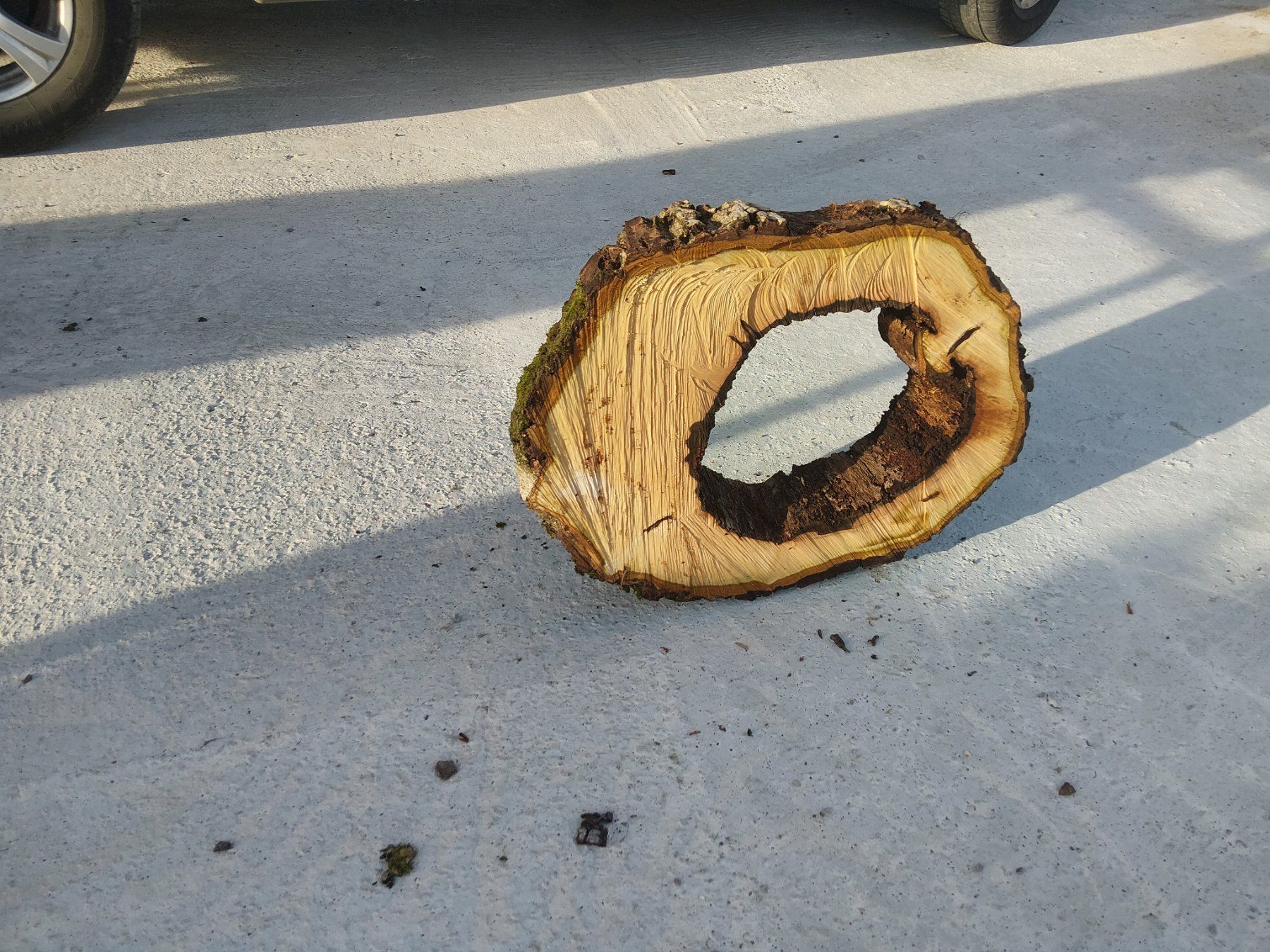 Articoli in legno: Nussbaum Holzscheibe Nr. 9 Dekoration – Nuovo (secondo la descrizione) da Affoltern am Albis venduto da ret_6x6z 3