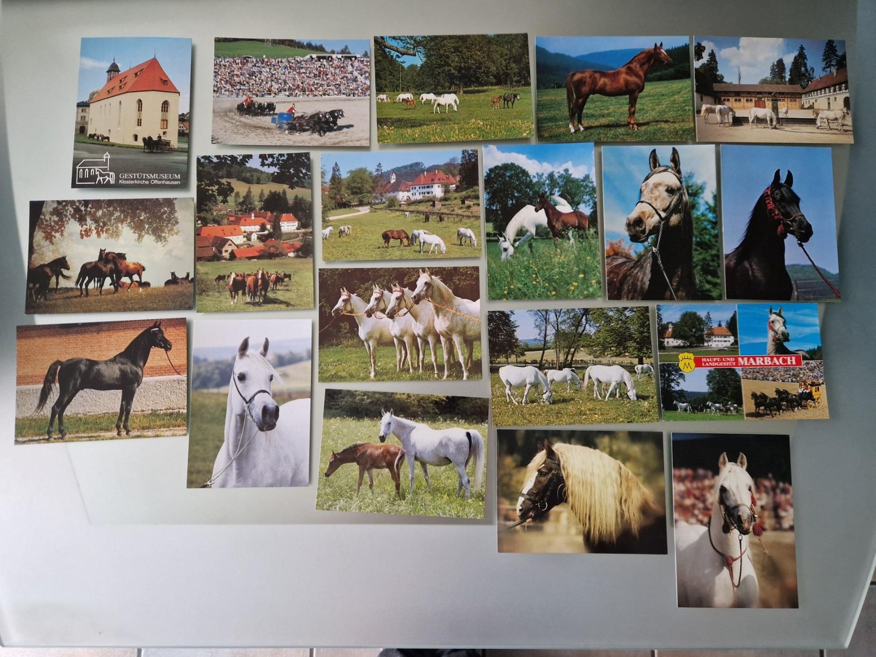 Cartoline postali: Pferde Postkarten Sammlung, 19 Stk. Top Zustand! – Usato da Büetigen venduto da philat