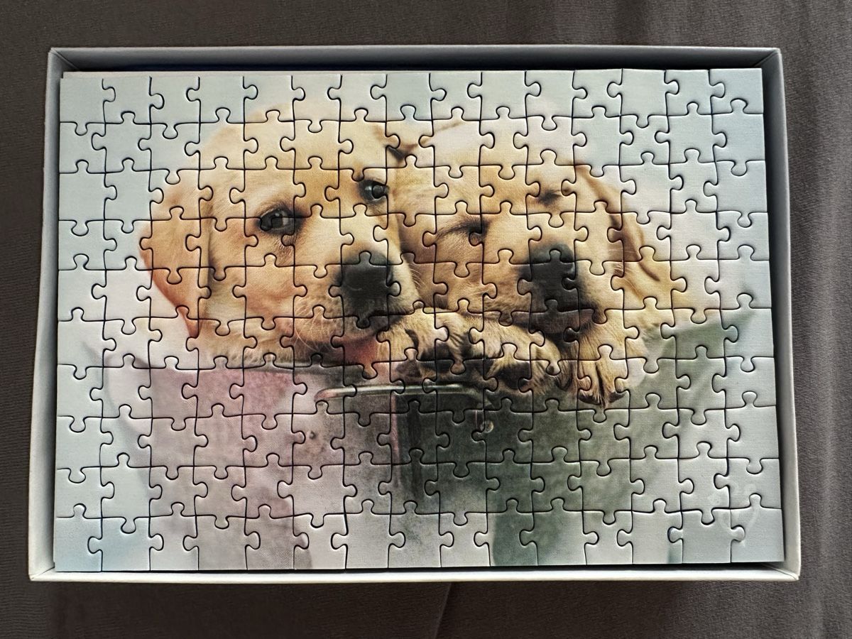 Ravensburger Puzzle: Ravensburger Puzzle Hund – Usato da Zufikon venduto da tam_gfx6 1