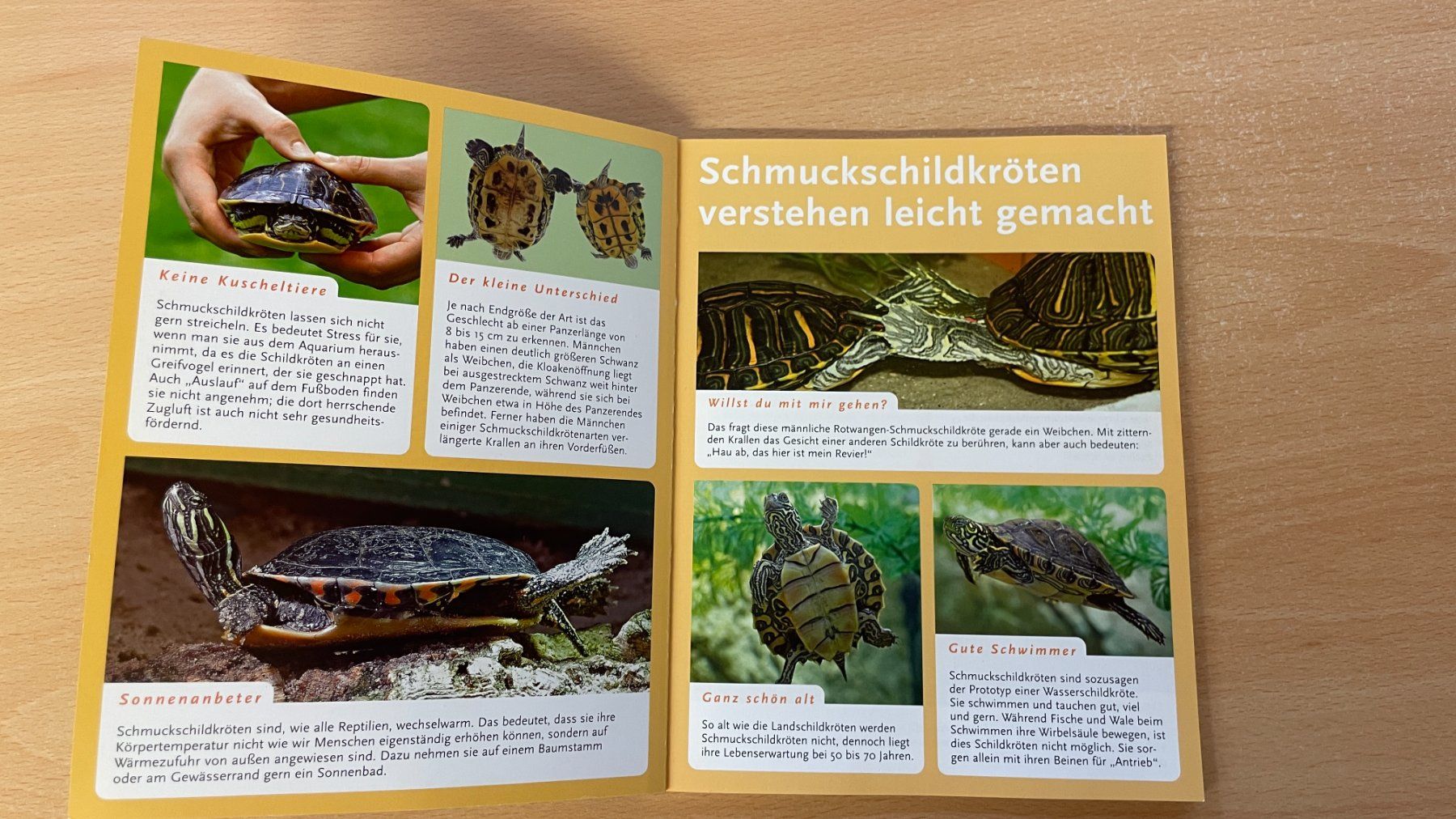 Libri: Schmuckschildkröten – Usato da Glattfelden venduto da flomiking 2