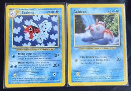 Seaking & Goldeen Neo Revelation set - 37/64 & 45/64