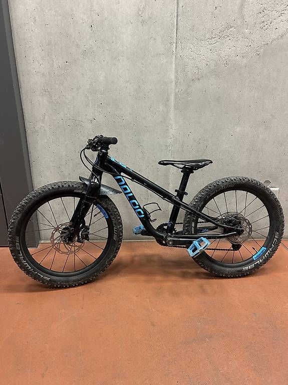 Naloo Biciclette: Naloo Hill Bill 20 Zoll – Usato da Wallisellen venduto da Chic_Living