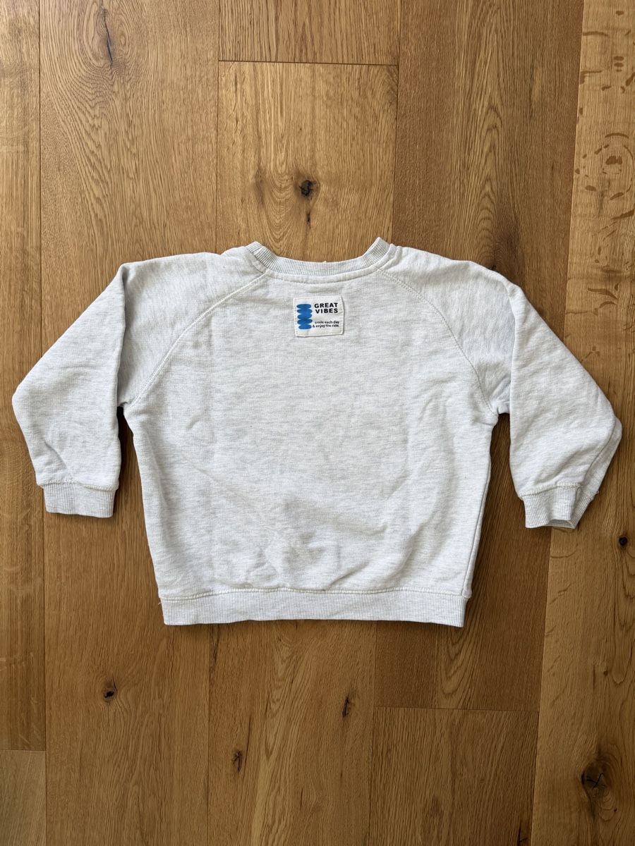 Zara Maglioni & Felpe: Zara Kids - Pullover, Gr. 110 – Usato da Interlaken venduto da fbnscl 2