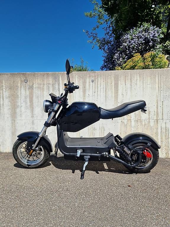 Veicoli elettrici: City Max RR 2023 – Usato da Bubikon venduto da Bachtel2