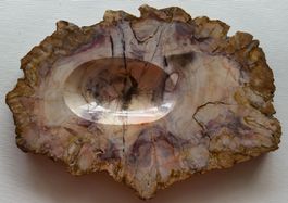 versteinertes Holz / Holzstein, als Aschenbecher / Vogelbad
