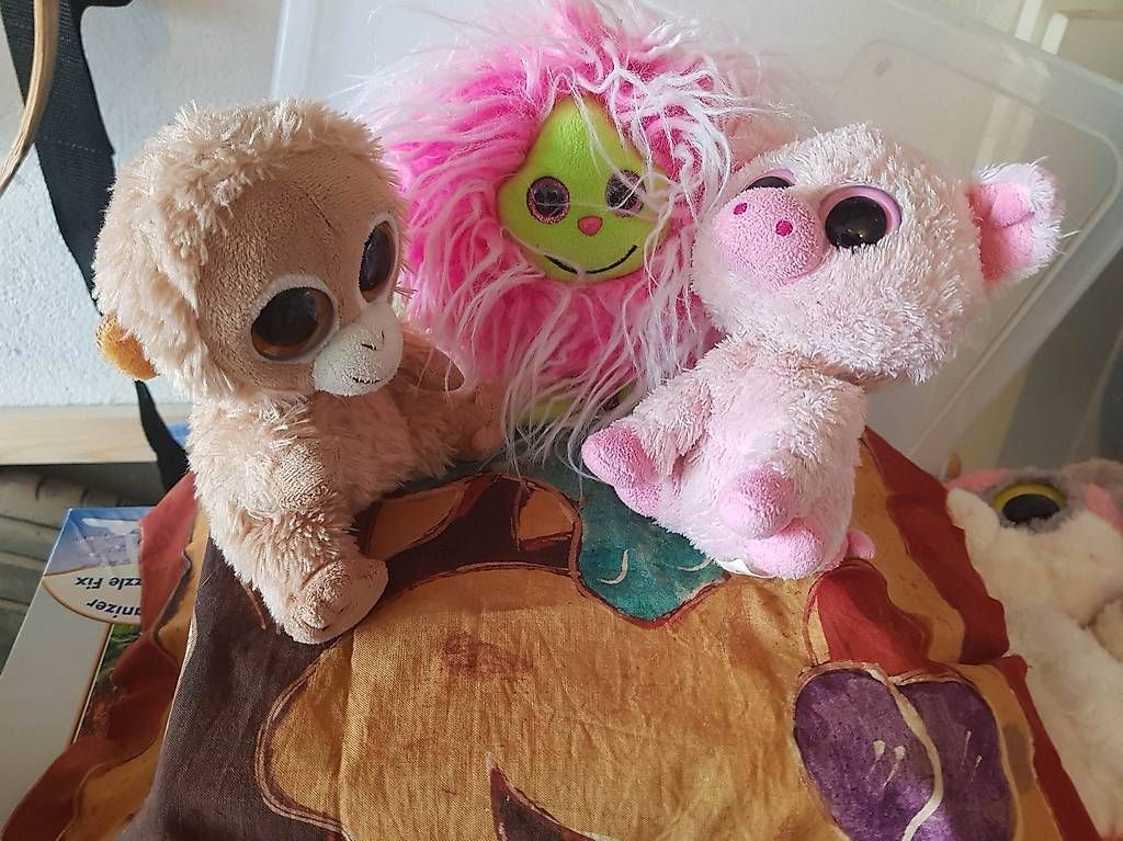 Giocattoli: Peluche TY en lot ou seul – Usato da Lausanne venduto da her_p66f 4