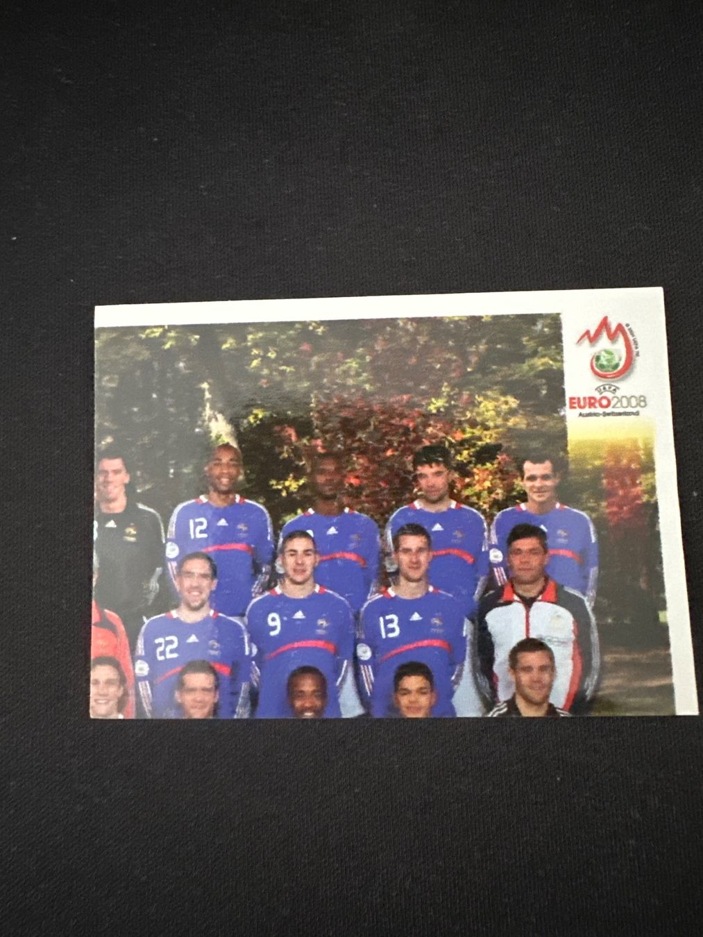 Panini Carte collezionabili: Panini UEFA EM 2008 Sticker - Nr. 334 – Usato da Sulz AG venduto da DealWerk