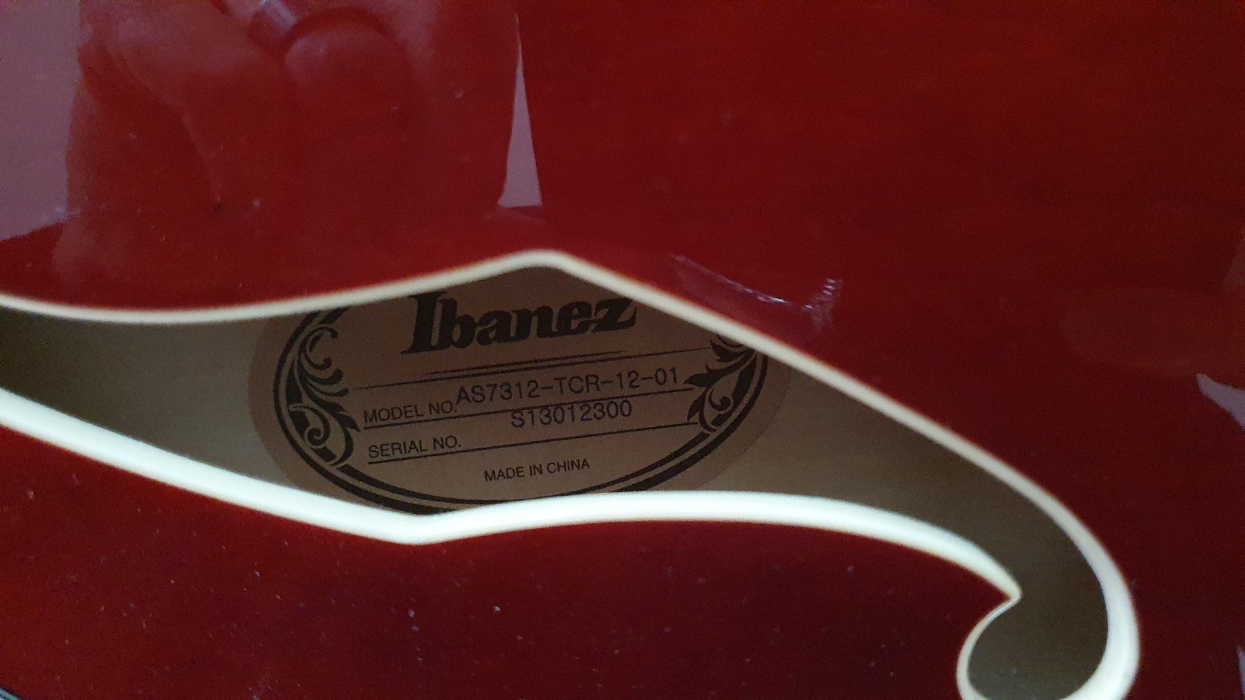 Ibanez Strumenti musicali: 12 String E-Gitarre Ibanez – Usato da Worben venduto da pioschter 1