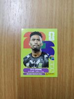 Panini WM 2026 Sticker - RSA 3