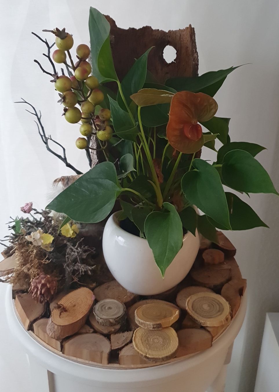 Tutte le decorazioni: 4x Deko Holz Baumscheiben 34cm – Usato da Laufenburg venduto da megane1959 4