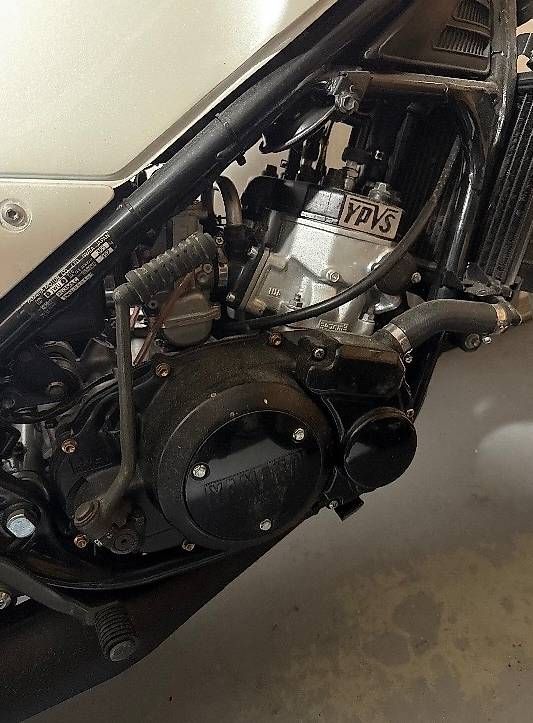 Strada: RD 350 YPVS Sammlung  – Usato da Schaffhausen venduto da Wally3 1