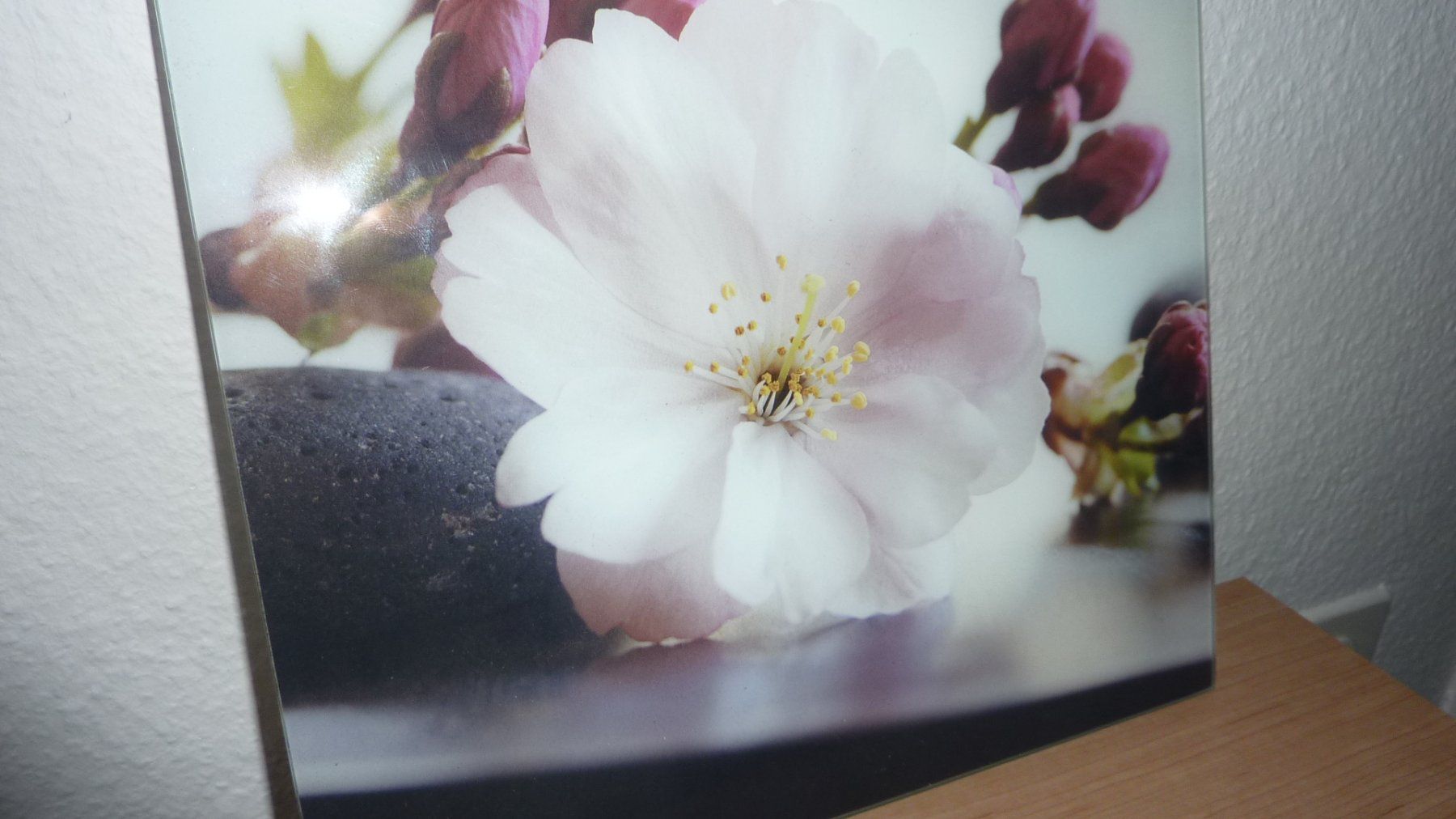 Poster & Bilder: leinwand bild  orchidde – Neu (gemäss Beschreibung) aus Füllinsdorf von pmarkus 2