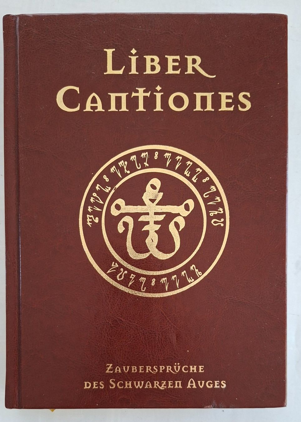 Libri: Liber Cantiones - Zaubersprüche DSA – Usato da Opfikon venduto da Diversamente