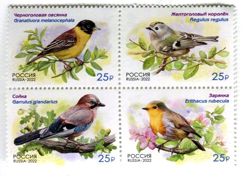 Tutti i francobolli: Briefmarken "Vögel". Russland – Nuovo e nell'imballaggio originale da Basel venduto da Butsch5