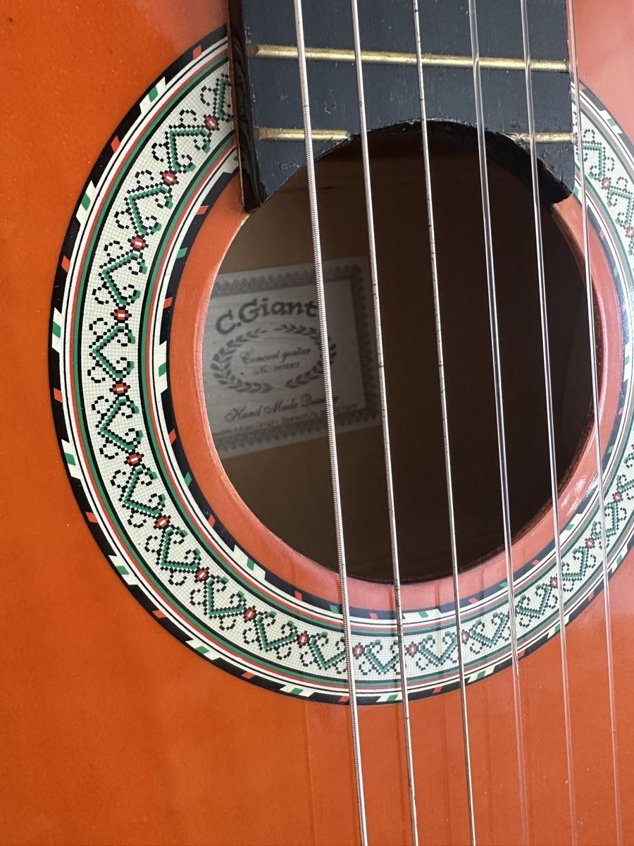 C.Giant Strumenti musicali: Gitarre C.Giant – Usato da Schaffhausen venduto da pinca19 3