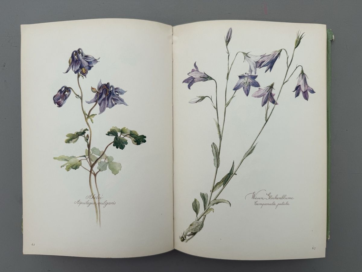 Libri: // Blumenfibel // – Usato da Birmenstorf AG venduto da Pat_roll. 4