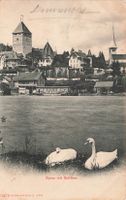 Spiez (BE) – Schloss und Dorf, gesehen vom Thunersee