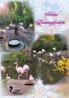 Flamingo-Federn flauschig;  60 Stk. 4...9 cm lang