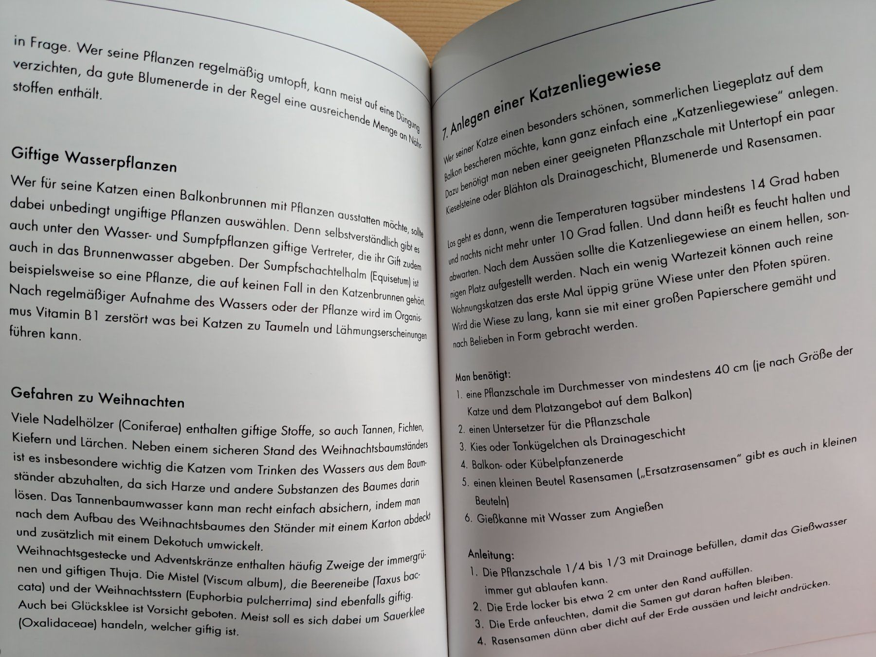 Libri: Katzenpflanzen - geeignete Pflanzen – Usato da Muttenz venduto da Negnuja 3