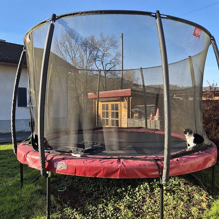 Trampolini: Trampolin – Usato da Teufenthal AG venduto da Thogys