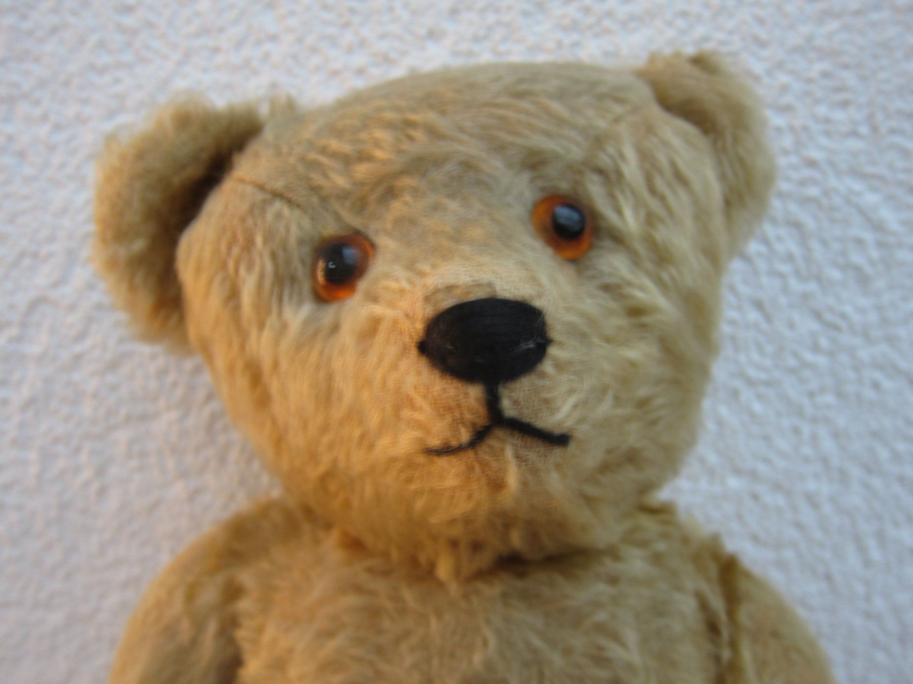 Giocattoli: Teddybär – Usato da Regensdorf venduto da Eri8057 3