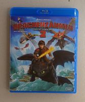 Drachenzähmen leicht gemacht 2 [Blu-ray]