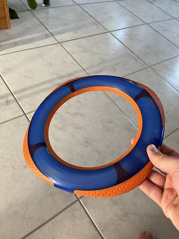 Giocattoli: Frisbee – Usato da Dübendorf venduto da sch_2fhz