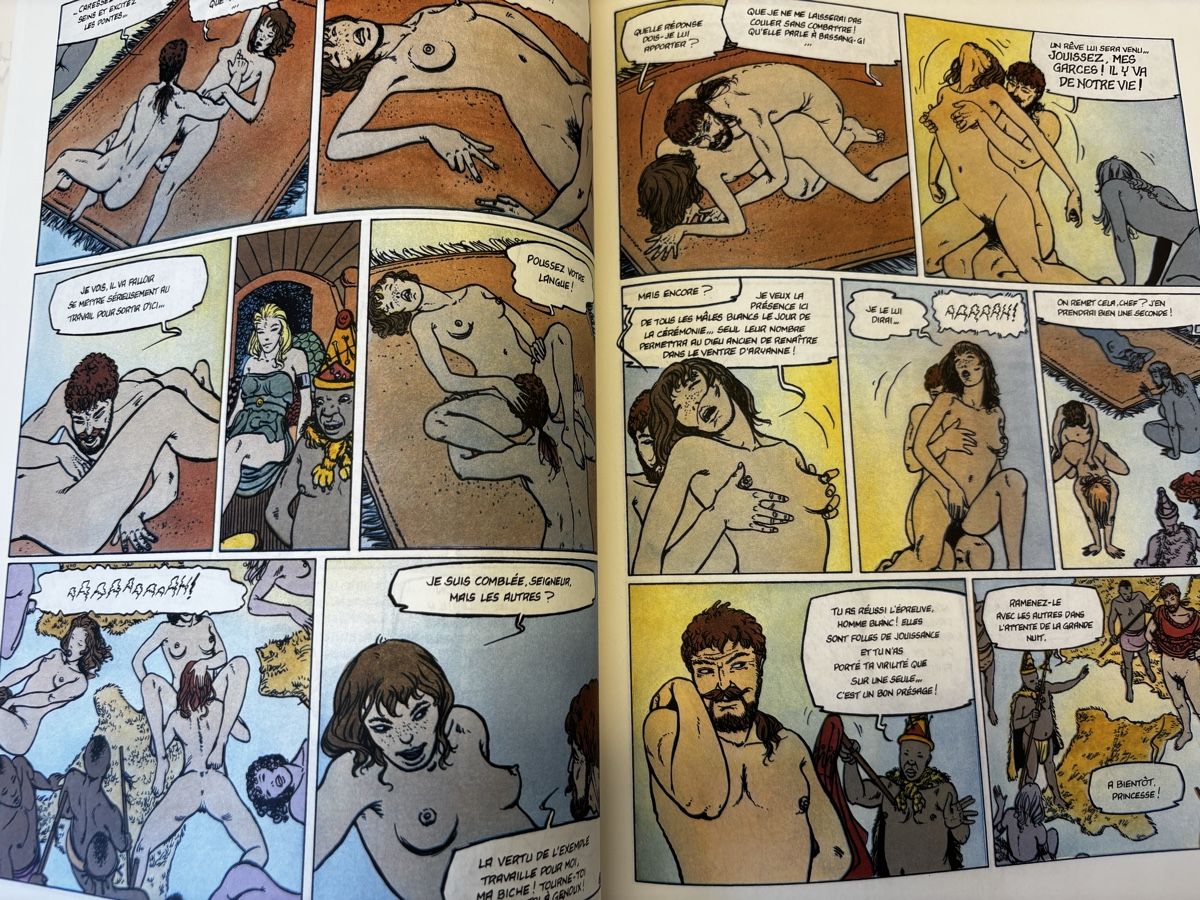 BD: ARYANNE COLLECTION COMPLÈTE - 9 Albums – D'occasion à Bern par jcmda 5