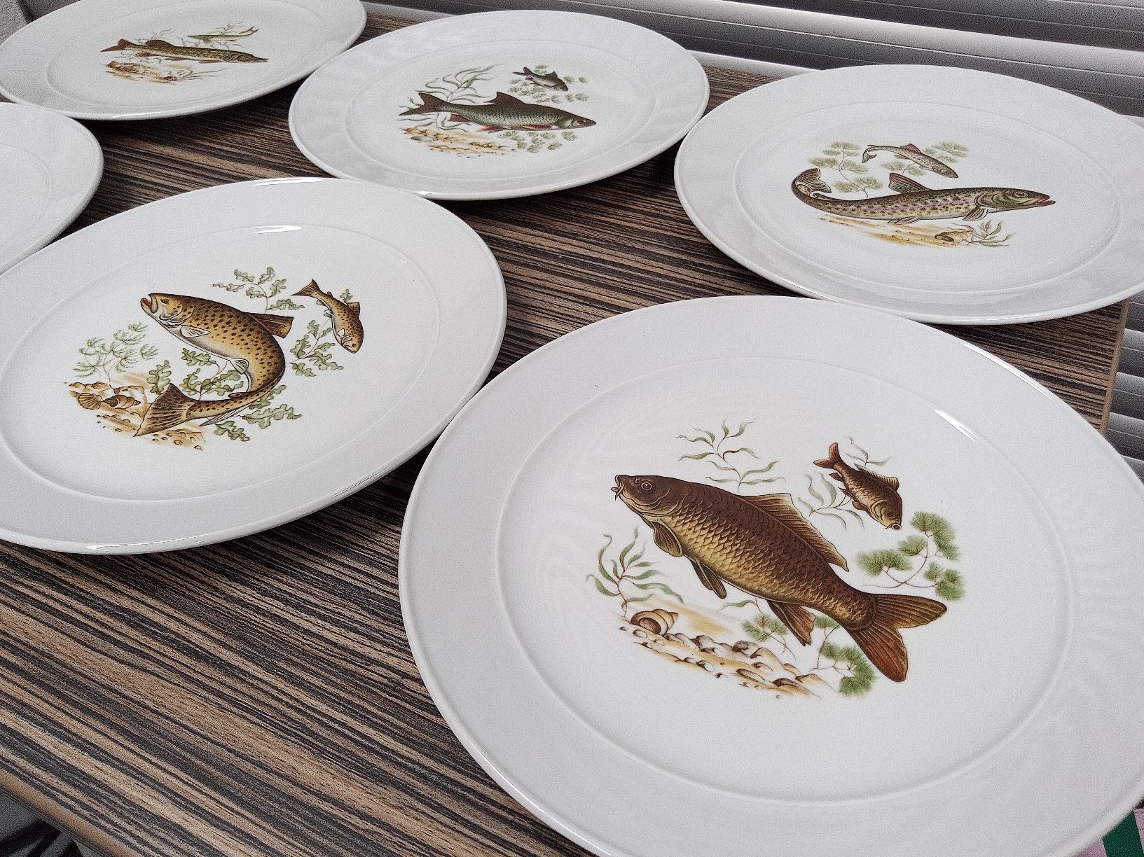 Piatti: 6 Fischteller Langenthal – Usato da Reiden venduto da Zofi-Brocki 2