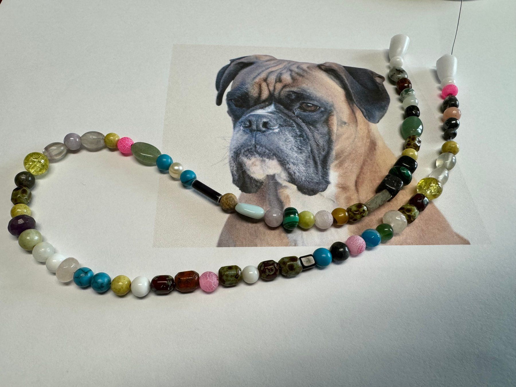 Nastri decorativi: Hundehalskette mit Ihrem Wunschnamen – Nuovo (secondo la descrizione) da Biberist venduto da tl-schmuck