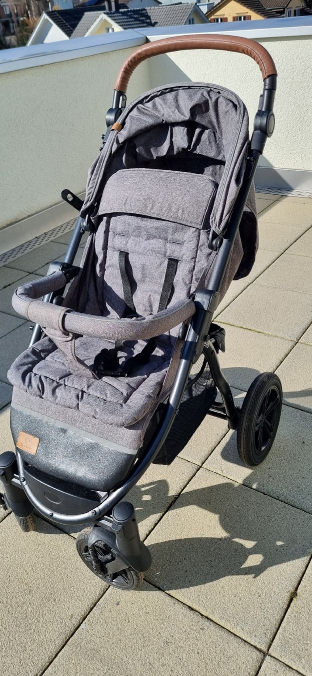 Lionelo Carrozzine: Kinderwagen (lionelo) – Usato da Niederuzwil venduto da FJR 1