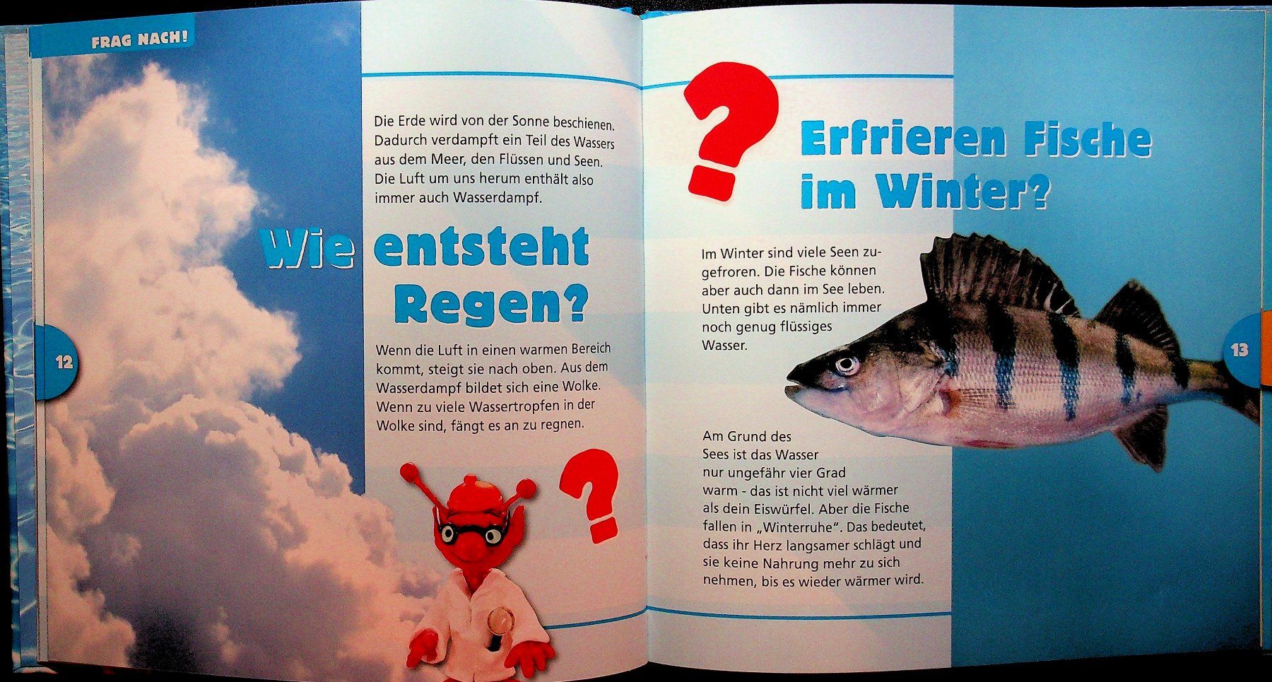 Bücher: Experimente Velbi entdeckt das Wasser Kinderbuch – Gebraucht aus Reitnau von Zaomir 6