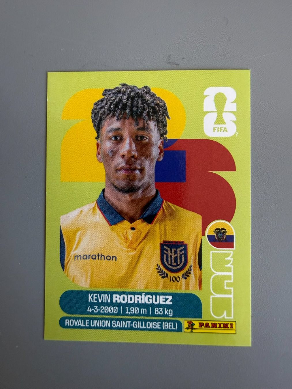 Panini Cartes à collectionner: Panini Kevin Rodriguez ECU19 – D'occasion à Liebefeld par Ronaldo-1996