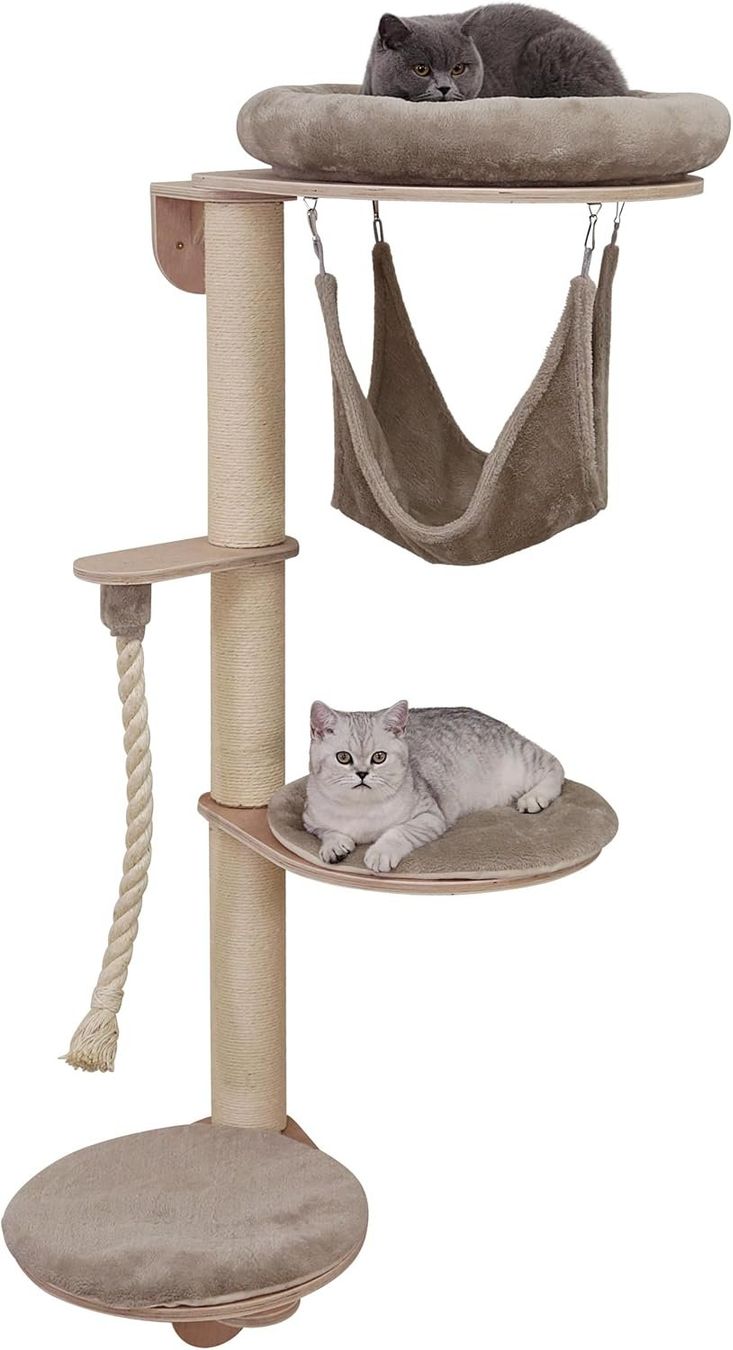 Katzenbaum - Kratzbaum: Wandkratzbaum / Cat Scratching Post for Wall Mounting – Gebraucht aus Zürich von zie_ngg8
