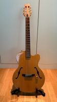 Yamaha AEX500N-2 Nylon-Elektroakustik (schmaler Hals)