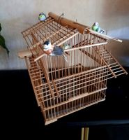 Belle grande cage à oiseaux en bois