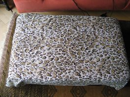 grosses Tuch, Schal Leoprint