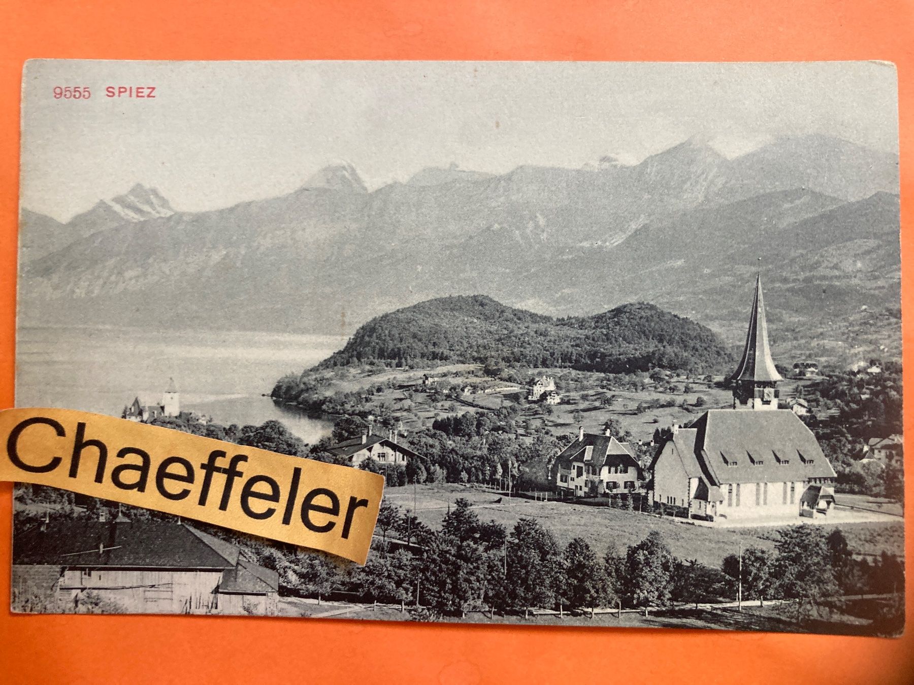 Cartoline postali: 9555 Spiez – Usato da Zürich venduto da Chaeffeler