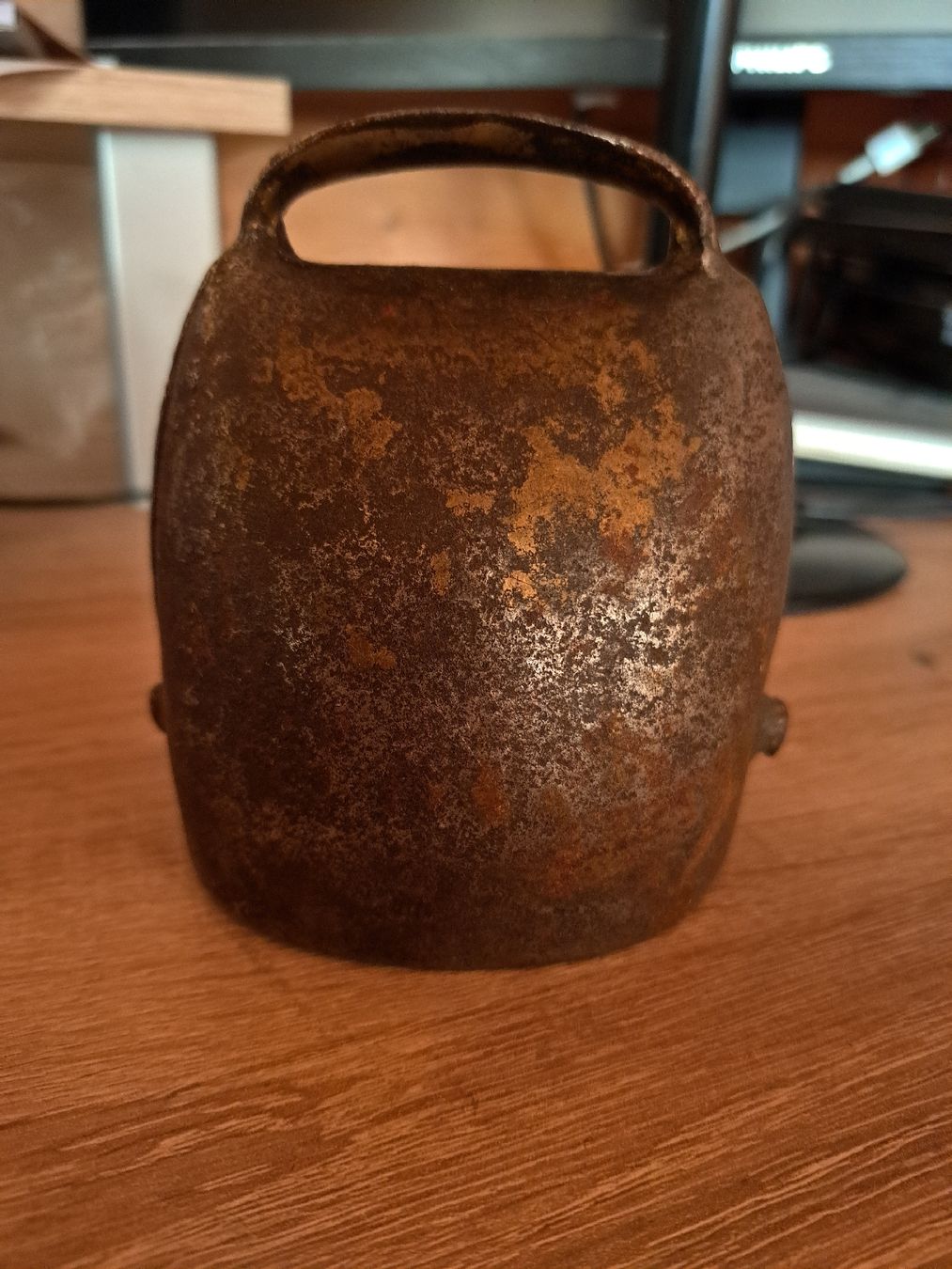 Campanacci mucche: Kuhschelle – Usato da Egg (Flawil) venduto da Tuli_pan72 1